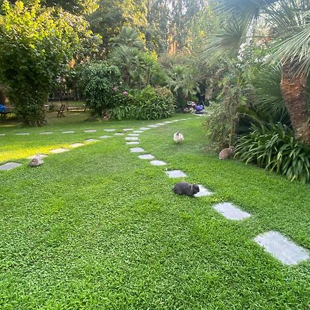 ולקרוסיה Villa Angelina Casa Limone מראה חיצוני תמונה